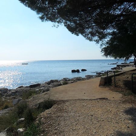 Marija Rooms & Apartments Umag Dış mekan fotoğraf